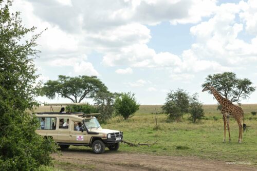 Tanzania_Luxe_Nov24_L-540