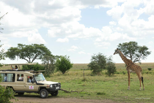Tanzania_Luxe_Nov24_L-541