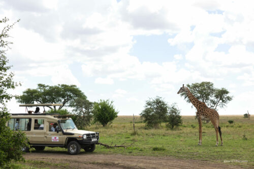 Tanzania_Luxe_Nov24_L-542