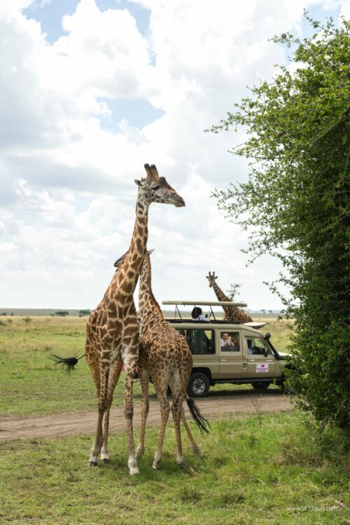 Tanzania_Luxe_Nov24_L-543