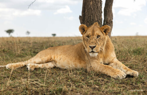 Tanzania_Luxe_Nov24_L-555