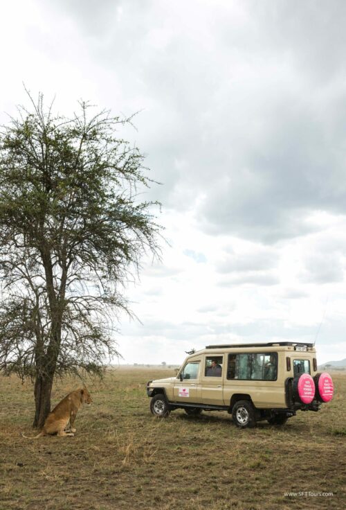 Tanzania_Luxe_Nov24_L-559