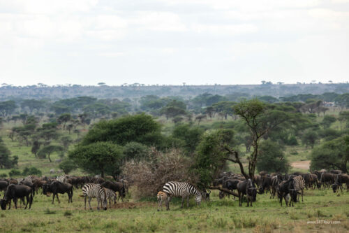 Tanzania_Luxe_Nov24_L-595
