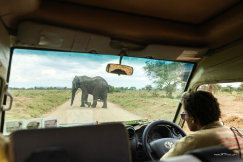 Tanzania_Luxe_Nov24_L-600