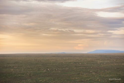 Tanzania_Luxe_Nov24_L-659
