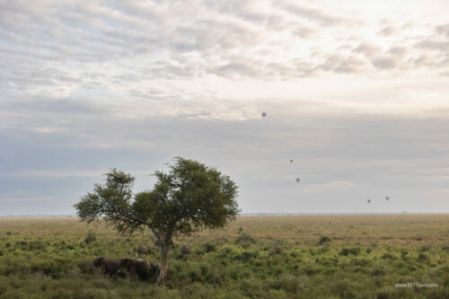 Tanzania_Luxe_Nov24_L-673