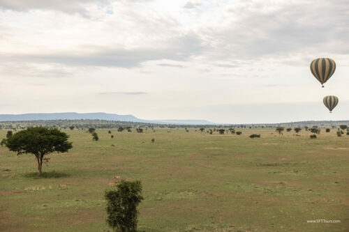 Tanzania_Luxe_Nov24_L-680