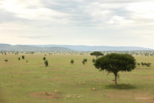 Tanzania_Luxe_Nov24_L-682