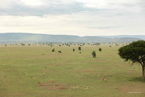 Tanzania_Luxe_Nov24_L-683