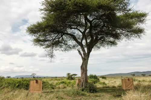 Tanzania_Luxe_Nov24_L-701