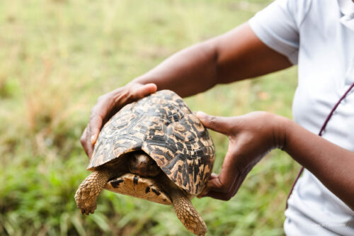 Tanzania_Luxe_Nov24_L-718