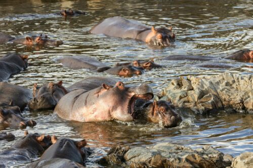 Tanzania_Luxe_Nov24_L-736