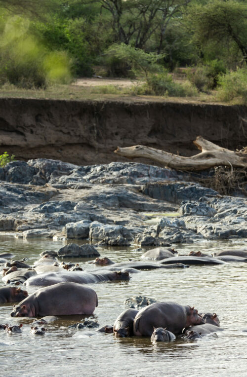 Tanzania_Luxe_Nov24_L-739