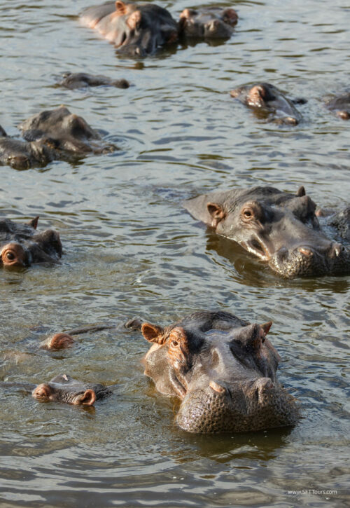 Tanzania_Luxe_Nov24_L-740