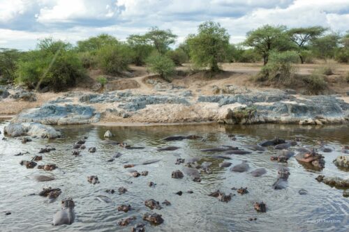Tanzania_Luxe_Nov24_L-745