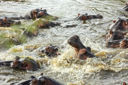 Tanzania_Luxe_Nov24_L-746