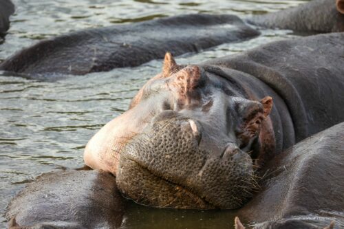 Tanzania_Luxe_Nov24_L-748
