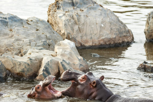 Tanzania_Luxe_Nov24_L-750