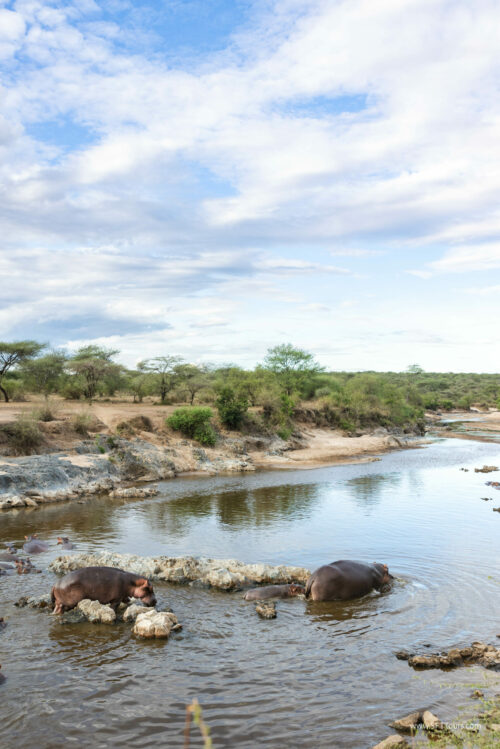 Tanzania_Luxe_Nov24_L-754