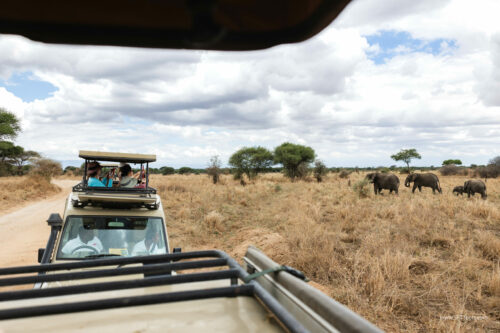 Tanzania_Luxe_Nov24_L-76