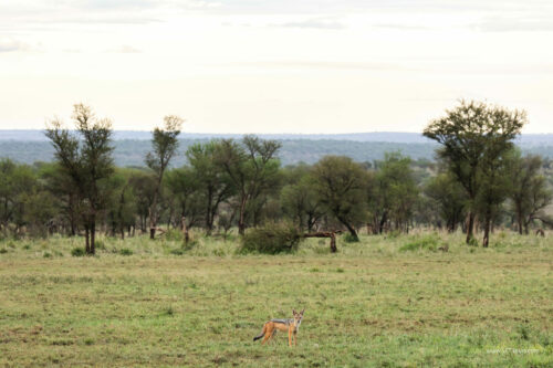 Tanzania_Luxe_Nov24_L-760