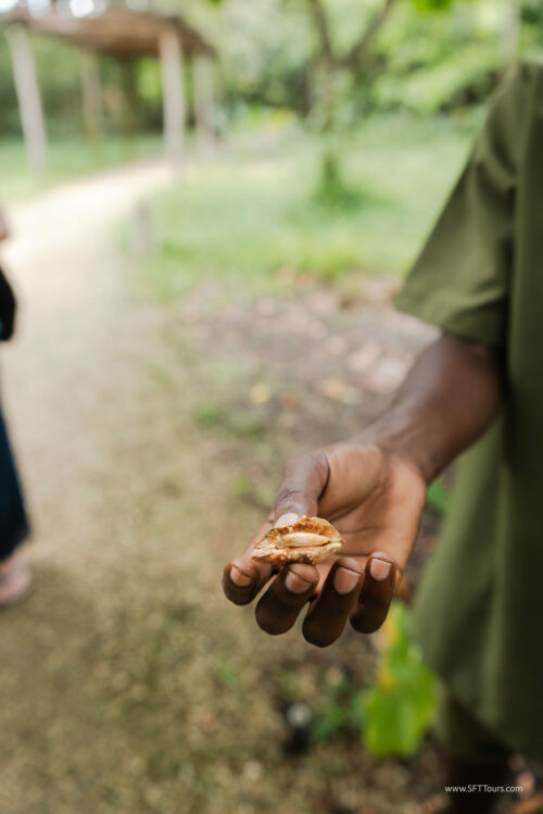 Tanzania_Luxe_Nov24_L-822