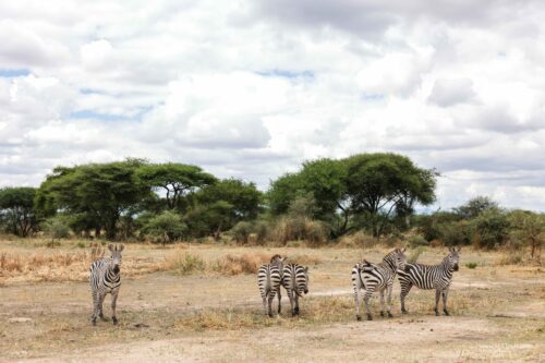 Tanzania_Luxe_Nov24_L-87