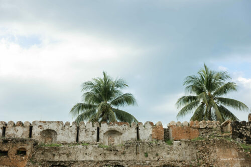 Tanzania_Luxe_Nov24_L-946