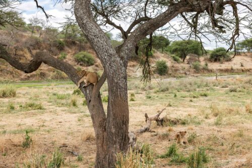 Tanzania_Luxe_Nov24_L-95