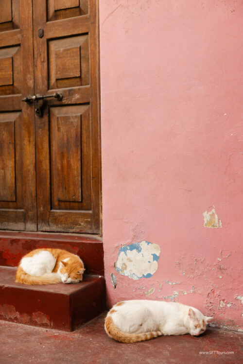 Tanzania_Luxe_Nov24_L-958