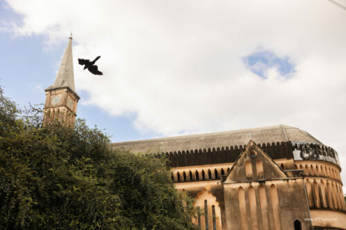 Tanzania_Luxe_Nov24_L-959
